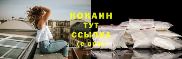 прущие грибы Каменск-Шахтинский