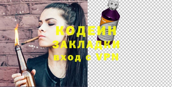 прущие грибы Каменск-Шахтинский