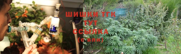 прущие грибы Каменск-Шахтинский