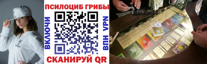 Галлюциногенные грибы Psilocybine cubensis  Купить закладки  Магас 