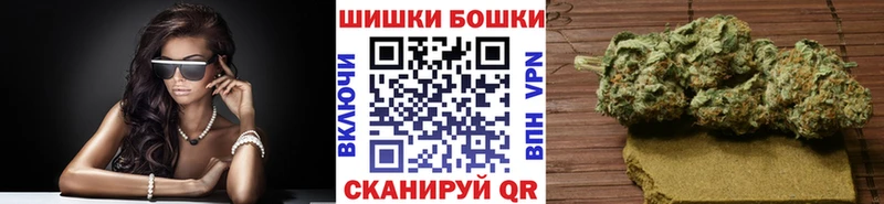 Бошки марихуана SATIVA & INDICA  Купить закладки  Магас 